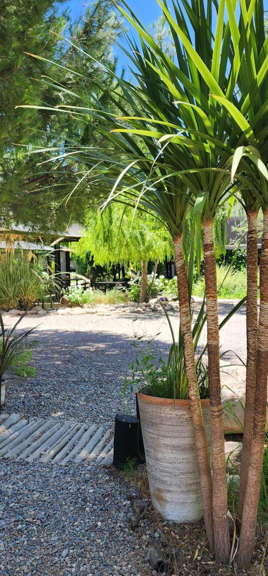 芬卡拉普埃布拉酒店 La Consulta 外观 照片